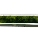 抹茶好きにはたまらない くちどけの宇治抹茶テリーヌ