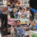 【TOTOCO小田原】30秒勝負！「鮮魚の詰め放題」が開催！参加方法・狙い目と合わせて食べたい限定スイーツも紹介