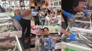 【TOTOCO小田原】30秒勝負！「鮮魚の詰め放題」が開催！参加方法・狙い目と合わせて食べたい限定スイーツも紹介