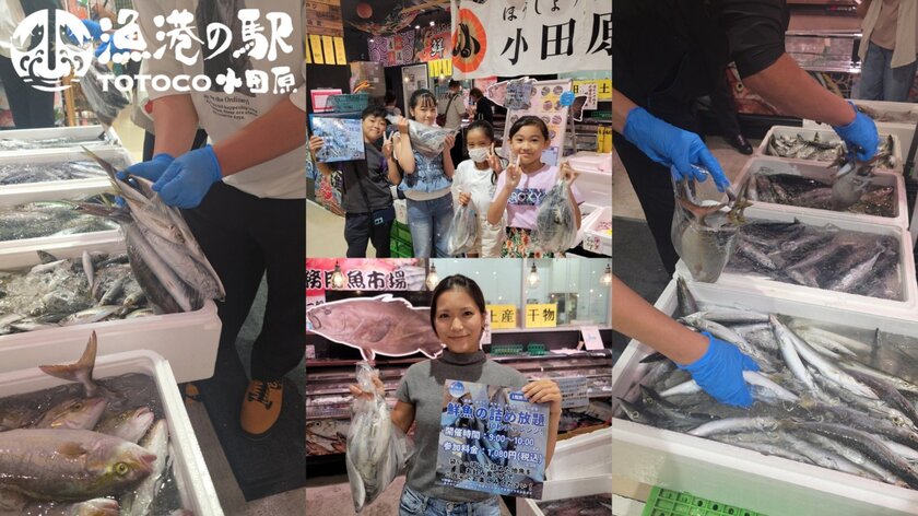 【TOTOCO小田原】30秒勝負！「鮮魚の詰め放題」が開催！参加方法・狙い目と合わせて食べたい限定スイーツも紹介